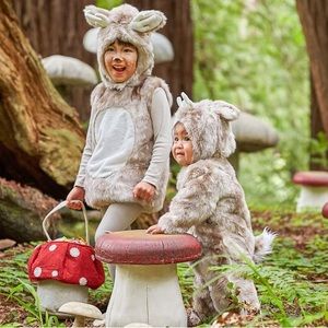 Pottery Barn Kids Woodland Deer Fawn Costume Halloween 3T Toddler Baby Outfit